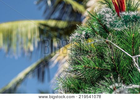 Amazing Juicy Green Leaves In The Tropics