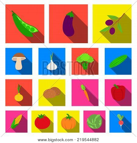 Different kinds of vegetables flat icons in set collection for design. Vegetables and vitamins vector symbol stock  illustration.