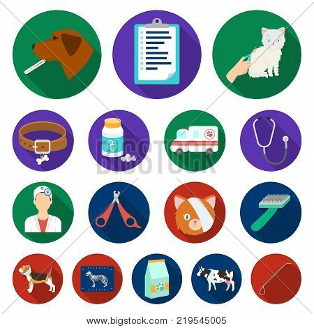 Veterinary clinic flat icons in set collection for design. Treatment of a pet vector symbol stock  illustration.