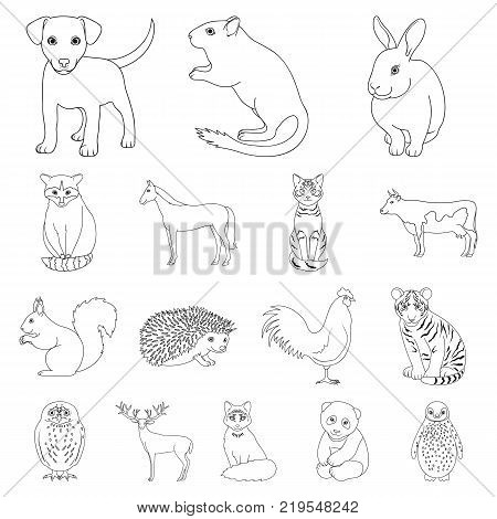 Realistic animals outline icons in set collection for design. Wild and domestic animals vector symbol stock  illustration.