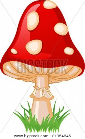 Illustration der Pilz Amanita im Gras