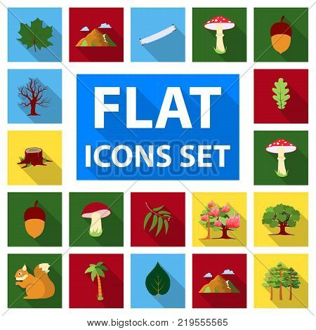 Forest and nature flat icons in set collection for design. Forest life vector symbol stock  illustration.