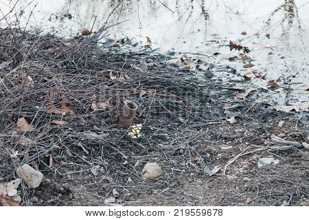 Corn has been sprinked on the ground beside a dog proof racoon trap. The pond in the background was intentionally defocused by the photographer.