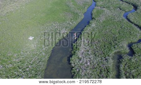 Drone taking a photo of kayakers going through the mangroves in Florida.