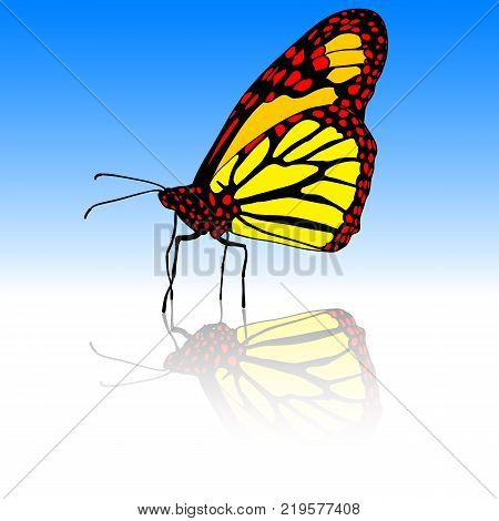 Thre Beautiful tropical butterfly a Vector illustration.