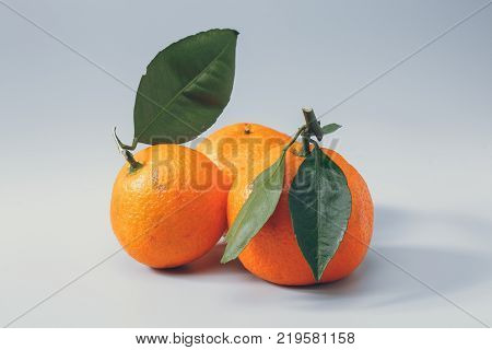 three ripe orange tangerines with green leaves on a white background