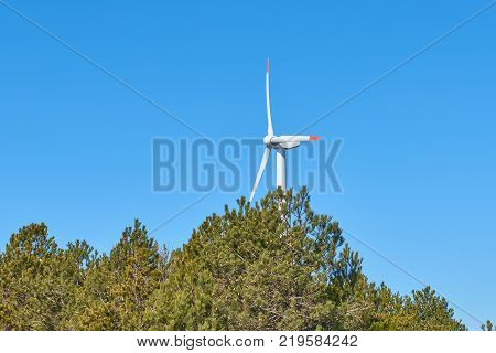 White and red wind turbine on a clear blue sky with trees. Sustainable resource