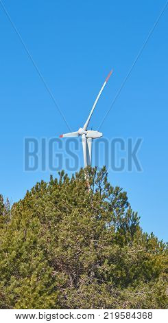 White and red wind turbine on a clear blue sky with trees. Sustainable resource