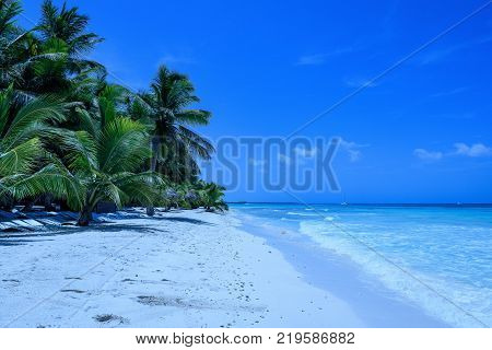 Travel photography - tropical beach with white sand and palms in Catalina island (Dominican Republic).