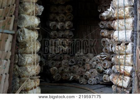 Thai Dessert Sweet Boiled Ball Covered With Grated Coconut