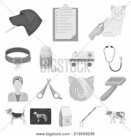 Veterinary clinic monochrome icons in set collection for design. Treatment of a pet vector symbol stock  illustration.