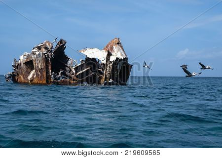 Wreck ferryboat sunk next to Cubagua island (Venezuela).