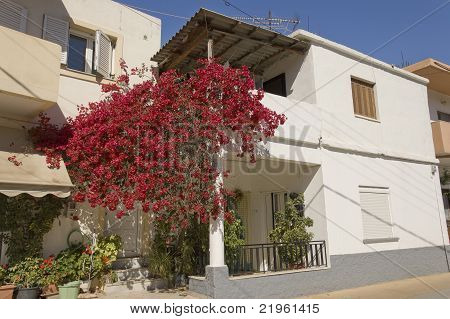 Stucco bianco casa greca