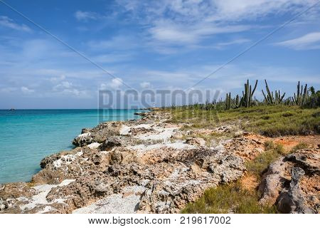 Travel photography - tropical seascape with rocks and cactus in a caribbean island (Cubagua island, Venezuela).