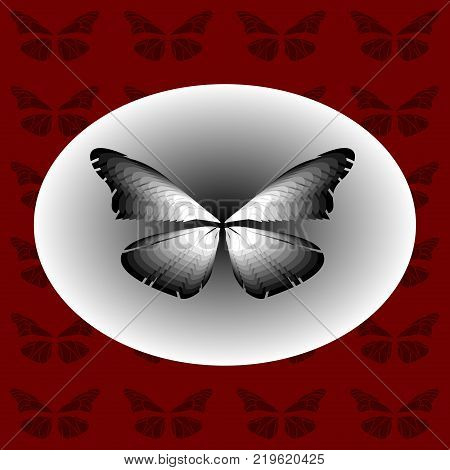 Black and White Butterfly in an ellipse on a red background