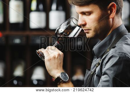 Sommelier smelling flavor of red wine in bokal on background of shelves with bottles in cellar. Male appreciating color, quality and sediments of drink. Professional degustation expert in winemaking.