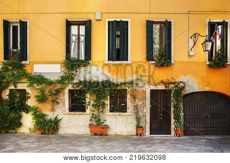 An old Venician house with windows, plants and a door.