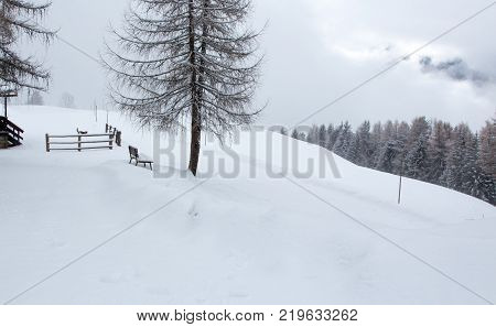 Snowy And Foggy Mountain Winter Landscape