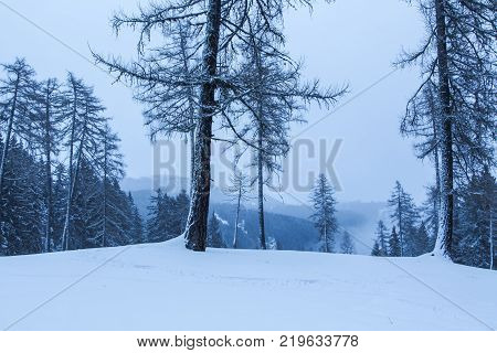 Snowy And Foggy Mountain Winter Landscape