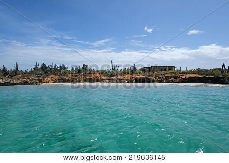 View of Cubagua island with rocks and tropical vegetation (Venezuela).