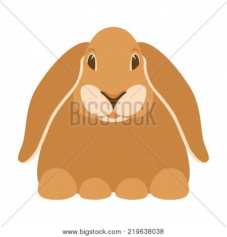 rabbit cartoon vector illustration flat style front view