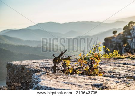 Stone Close-up Against A Background Of Mountains In The Fog Tarragona, Spain. Copy Space For Text