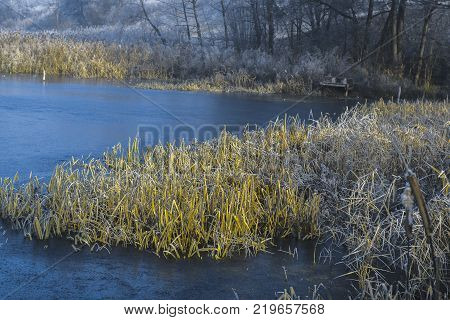 Morning landscape pond in a frosty winter morning