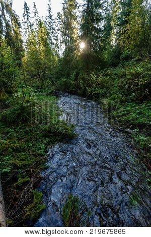 Mountain River In Summer. Bialka River, Poland
