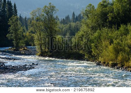 Mountain River In Summer. Bialka River, Poland