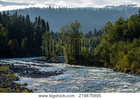 Mountain River In Summer. Bialka River, Poland