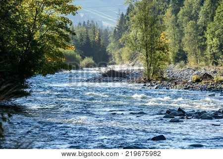 Mountain River In Summer. Bialka River, Poland