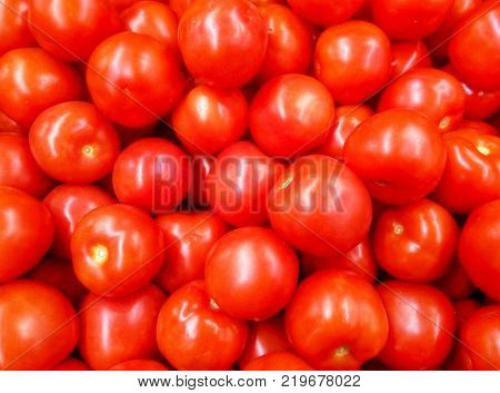 red background. a lot of ripe tomatoes on the counter