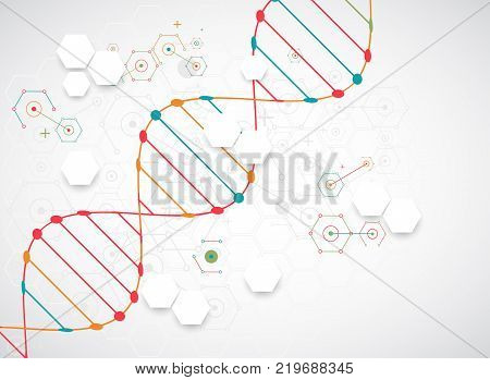 Science Template, Wallpaper Or Banner With A Dna Molecules.