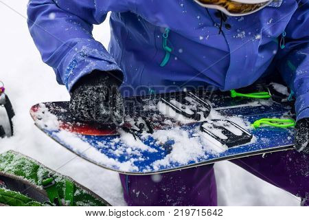 Woman Freerider Installs Splitboard, In Snow Wild Mountains