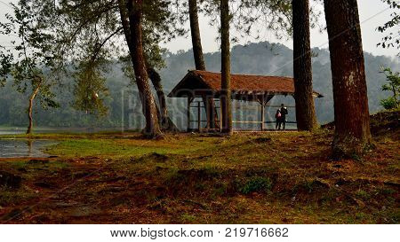 beautiful scenery of a shack in the forest and the lake