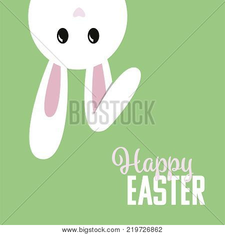 Hase