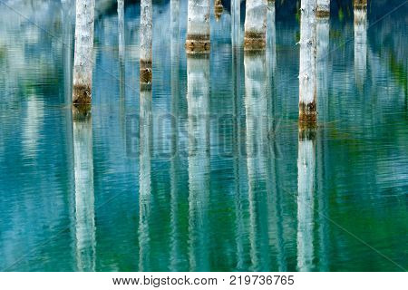 Reflection of trees on a green  background of lake.
Lake Kaindy, meaning the 