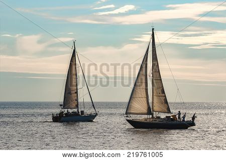 Sailboats Traveling By Baltic Sea