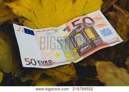 Euros on fallen yellow autumn leaves, the concept of falling price of the Euro