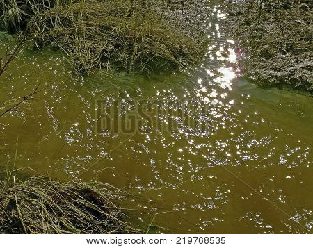 Streams Of Water In A Small River. The Flow Of Water