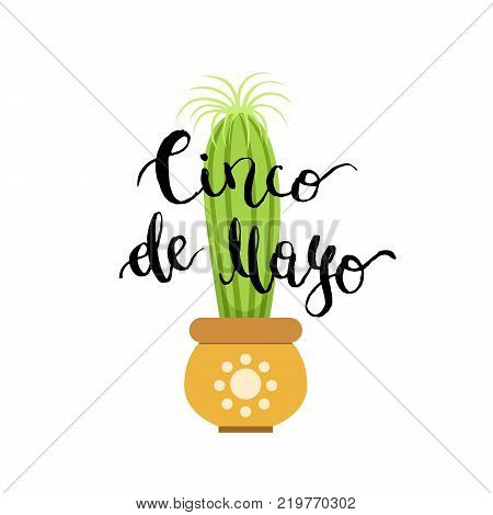 Vector illustration with cactus in pot and cinco de mayo lettering isolated on white background