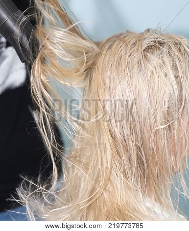 drying hair at the salon . Photos in the studio