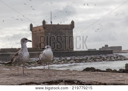 Sqala Du Port, A Defensive Tower At The Fishing Port Of Essaouira, Morocco