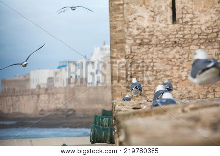 Sqala Du Port, A Defensive Tower At The Fishing Port Of Essaouira, Morocco