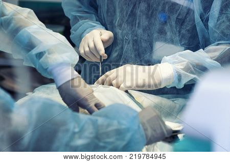 Preparation for the beginning of surgical operation with a cut