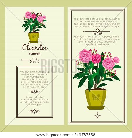 Oleander flower in pot vector advertising banners for shop design