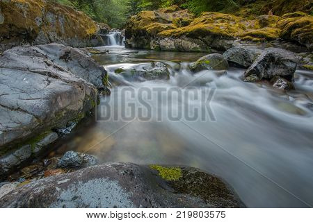 Brice Creek Flows Over Rocks in Early Summer in Oregon wilderness