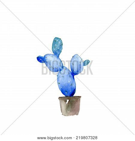 Blue cactus in the pot. Watercolor illustration on white background
