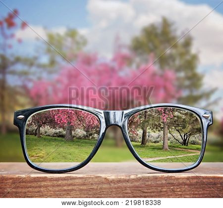  hipster glasses on a park bench or table with a pretty pink tree in the background