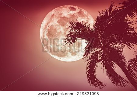 Supermoon. Beautiful night landscape of red sky with full moon behind betel palm tree outdoor in gloaming time. Serenity nature background. The moon taken with my camera.